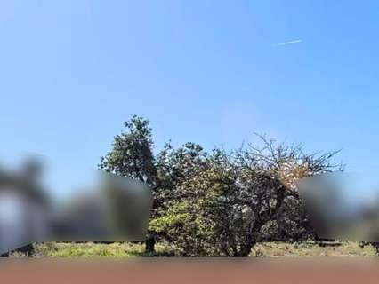 Parcela urbana en venta en Chiclana de la Frontera
