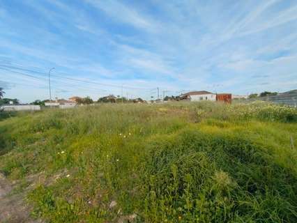 Parcela rústica en venta en Chiclana de la Frontera