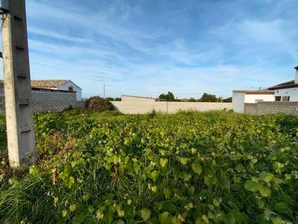 Parcela rústica en venta en Chiclana de la Frontera