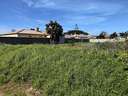 Parcela rústica en venta en Chiclana de la Frontera