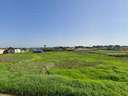 Parcela rústica en venta en Chiclana de la Frontera