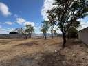 Parcela rústica en venta en Chiclana de la Frontera