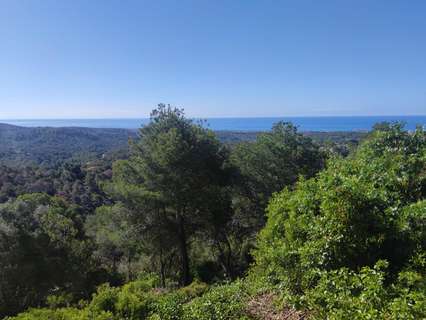 Parcela rústica en venta en Cunit