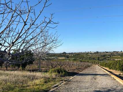Parcela rústica en alquiler en Picassent