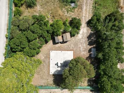 Parcela rústica en venta en San Fulgencio zona San Fulgencio