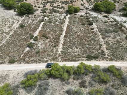 Parcela rústica en venta en Elche/Elx zona La Marina
