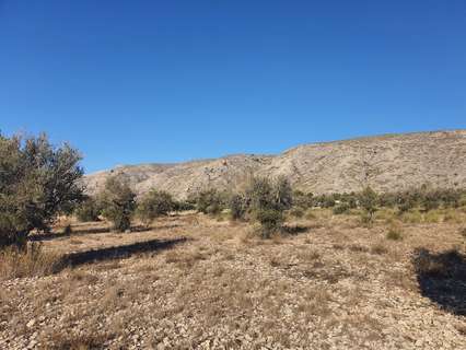 Parcela rústica en venta en Villena zona Villena