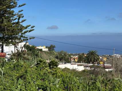 Parcela rústica en venta en Firgas