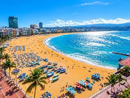 Estudio en alquiler en Las Palmas de Gran Canaria