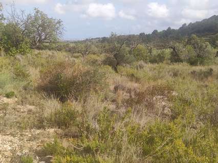 Parcela rústica en venta en Benicarló