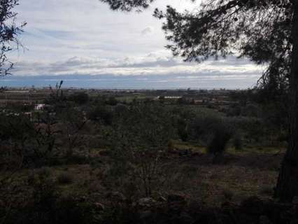 Parcela rústica en venta en Benicarló