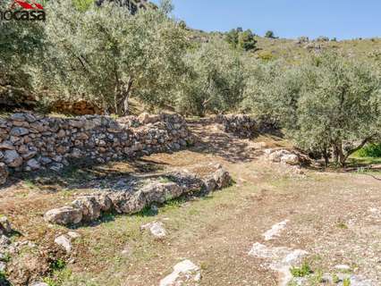 Parcela rústica en venta en El Pinar