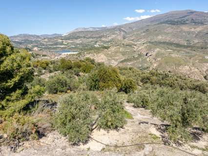 Parcela rústica en venta en El Pinar