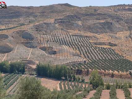 Parcela rústica en venta en Cacín