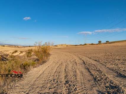 Parcela rústica en venta en Pedro Martínez