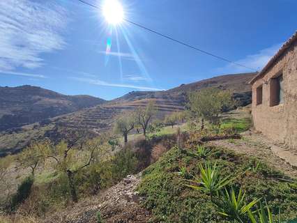 Parcela rústica en venta en Cástaras