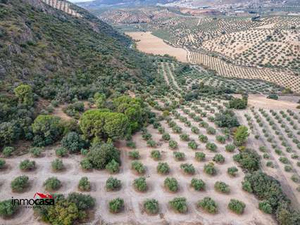 Parcela rústica en venta en Illora