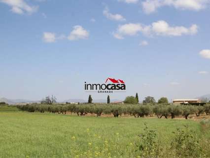 Parcela rústica en venta en Las Gabias