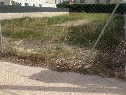 Parcela rústica en venta en Oliva