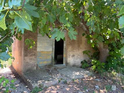 Parcela rústica en venta en Oliva