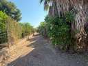 Parcela rústica en venta en Murcia