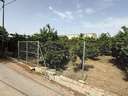 Parcela rústica en venta en Murcia