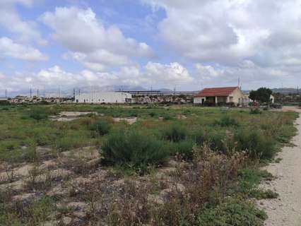 Parcela rústica en venta en Elche/Elx