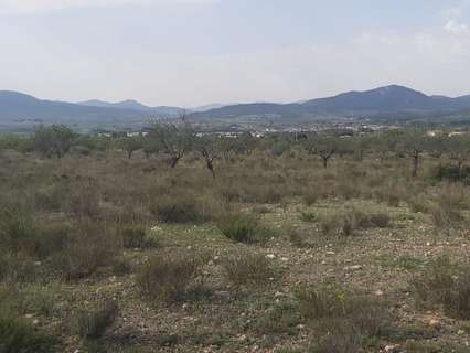 Parcela rústica en venta en Salinas