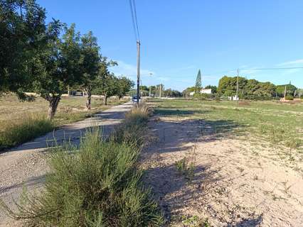 Parcela rústica en venta en Elche/Elx zona Las Bayas rebajada