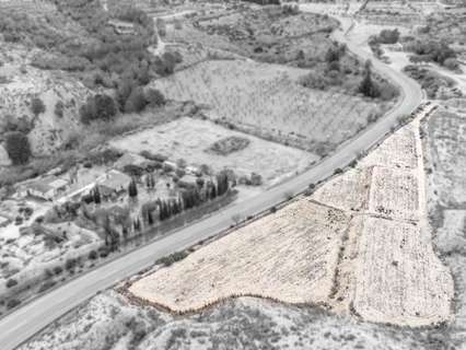 Parcela rústica en venta en Aspe