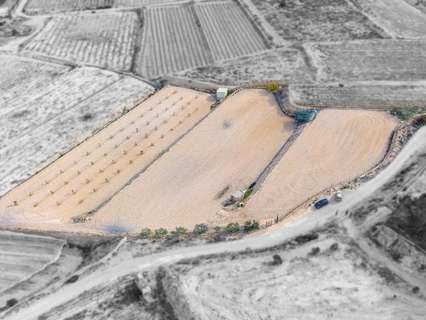 Parcela rústica en venta en Monforte del Cid