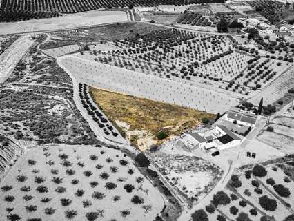 Parcela rústica en venta en Murcia zona La Tercia