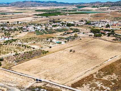 Parcela rústica en venta en Murcia rebajada