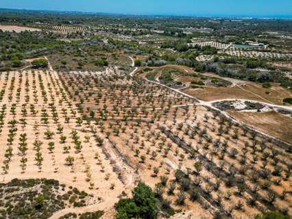 Parcela rústica en venta en Murcia zona Sucina rebajada