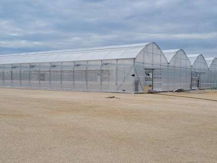 Parcela rústica en venta en Elche/Elx zona Las Bayas