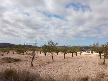 Parcela rústica en venta en Abanilla