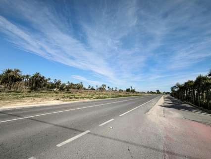 Parcela rústica en venta en Elche/Elx
