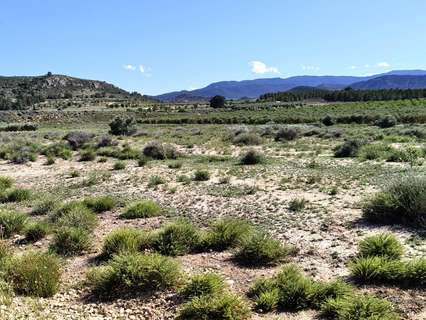 Parcela rústica en venta en Villena