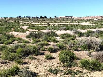 Parcela rústica en venta en Villena