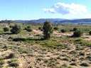 Parcela rústica en venta en Villena