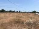 Parcela rústica en venta en Elche/Elx