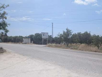 Parcela rústica en venta en Elche/Elx zona Perleta