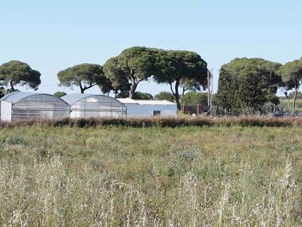 Casa rústica en venta en Chipiona zona CAMPO