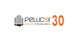 Pellicer Gestión Inmobiliaria