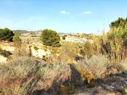 Parcela rústica en venta en Mula