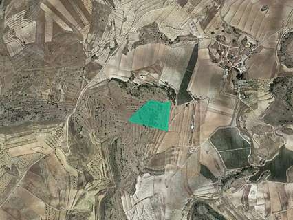 Parcela rústica en venta en Jumilla