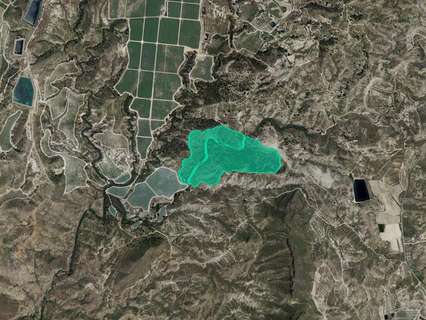Parcela rústica en venta en Molina de Segura