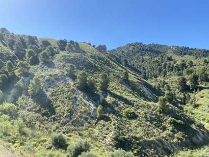 Parcela rústica en venta en Lorca