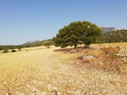 Parcela rústica en venta en Lorca