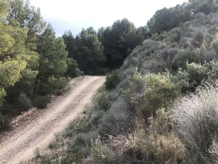 Parcela rústica en venta en Lorca